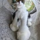 Alexey_Sukhov
