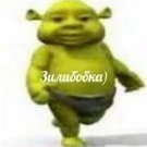 Vergil_Doms