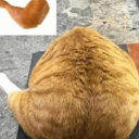 Kkkopeyka