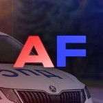 Artem_Fernando_