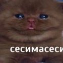 ivan_vavasov