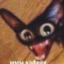Alexxx__