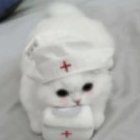 Mint_Flaneks
