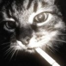 Valeria_Miroshnichenko