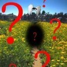 Anna_Rozhdestvenskaya