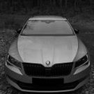 Thelonious_Quackenbush