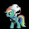 Ponysher